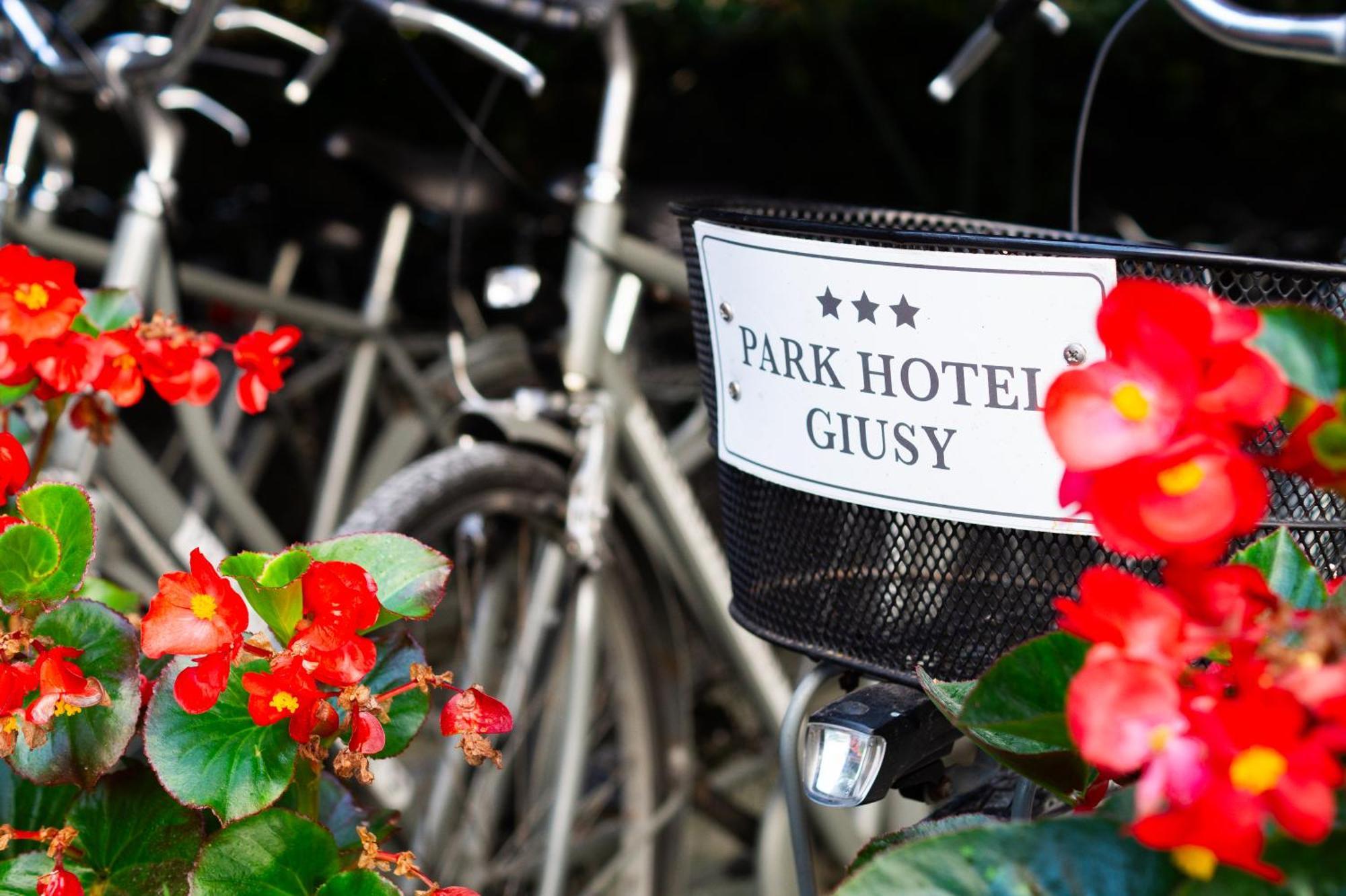Park Hotel Giusy 利多迪卡马约雷 外观 照片
